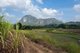 Thailand: Fields ready for planting in Kuan Pha Lom National Park,  Loei Province